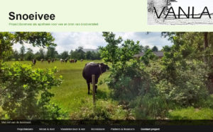 Website Snoeivee